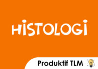Histo TLm